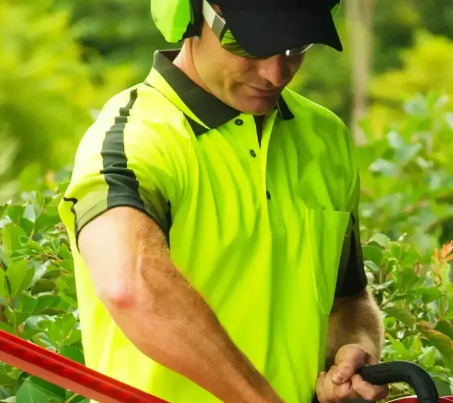 Lawn Mowing and Gardening North Brisbane featured image || "featured image"